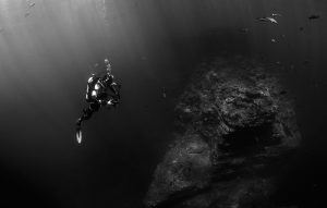 Lire la suite à propos de l’article Underwater Scuba Trip